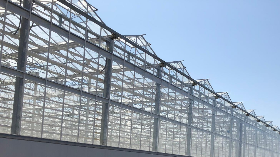Exterior view of the Van der Hoeven glass greenhouse structure
